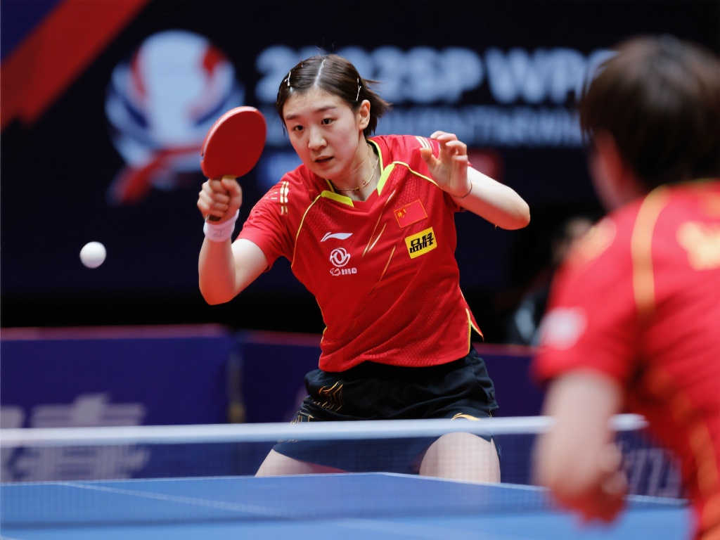 新秀的崛起 新秀的崛起